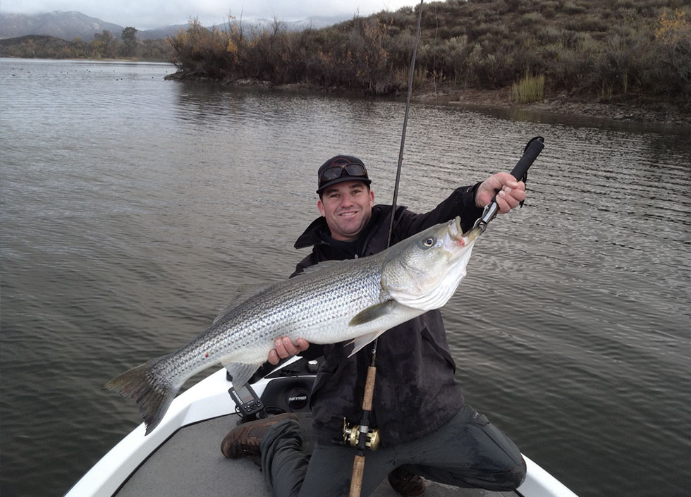 Stripped Bass San Diego Fishing Guide